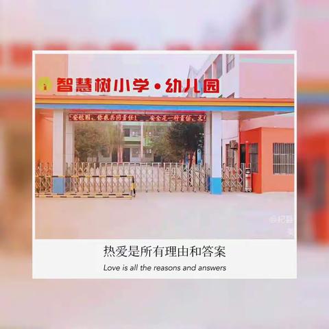 杞县于镇镇智慧树小学开展“全民国家安全教育日”主题活动