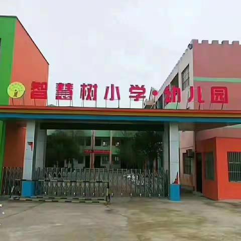 “双减”和“五项管理”并重 提质与全面发展同行——杞县于镇镇智慧树小学多举措落实“双减”助推“五项管理”工作