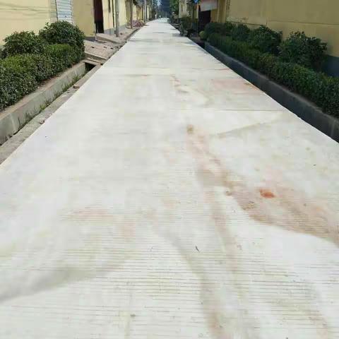 柳杭村清理后的街道焕然一新