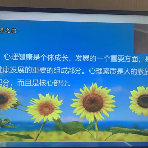 教育，从“心”开始———晋阳街小学班主任“名师之路‘心’开始系列心理健康”线上培训（二）