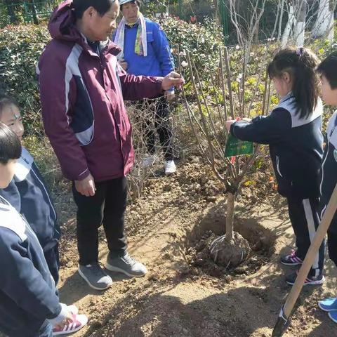 3·12树恩绿苗伴我成长——树恩一（10）