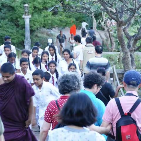 斯里兰卡行之：丹布勒金寺