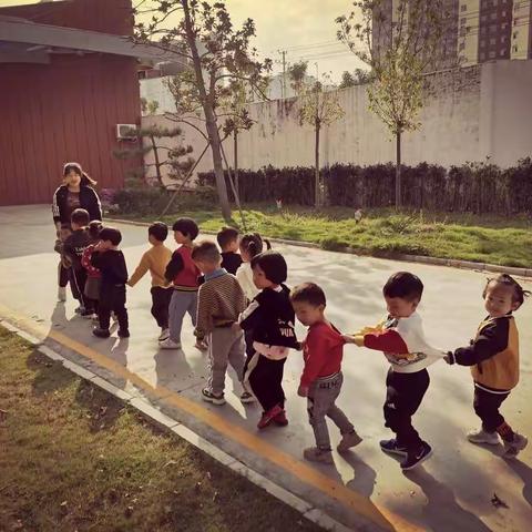 金秋十月，快乐无限       —托二班