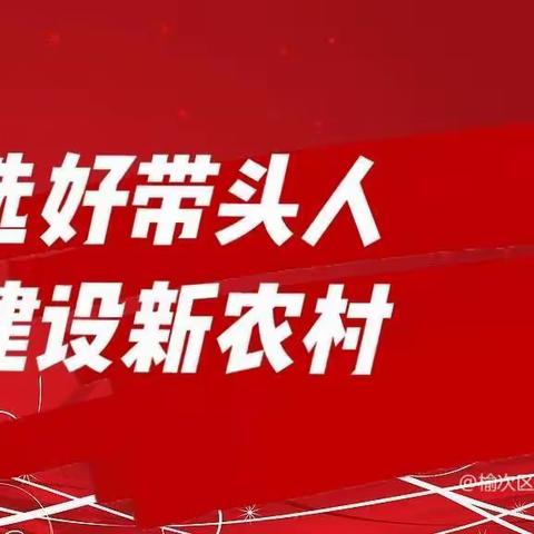 龙泉镇圆满完成村（社区）“两委”换届工作