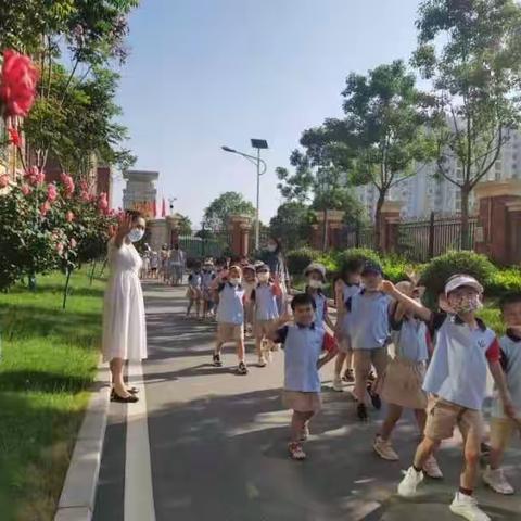 幼小衔接待花开，双向奔赴向未来——南阳市第五完全学校小学部幼小衔接活动