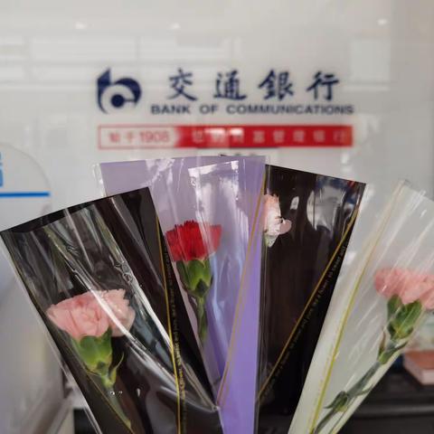 时光荏苒岁月迁，不忘母爱在身边