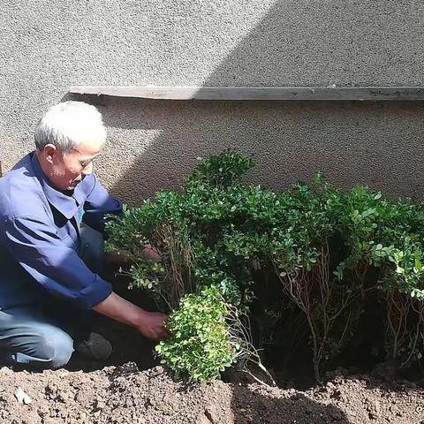 “圈地”种菜， 这回不行了！