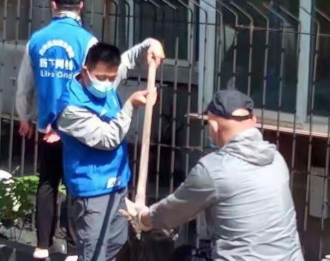 亲力亲为，小网格，发挥大力量