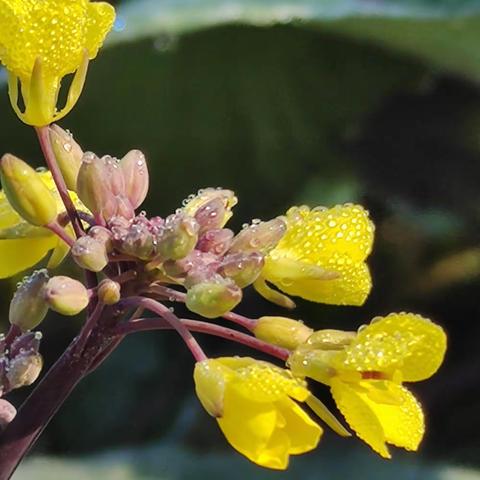 春暖花开