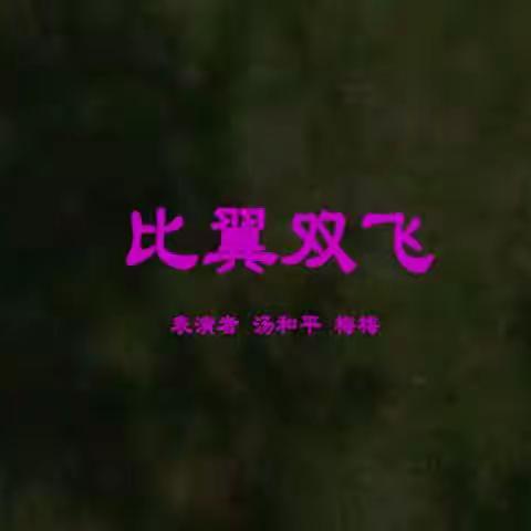 比翼双飞