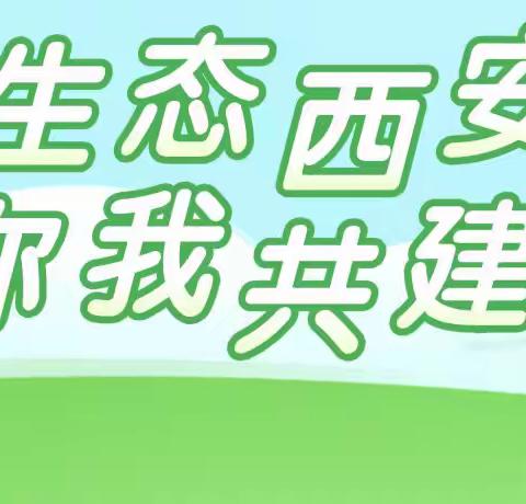 【碑林教育||小风车 大未来】西安生态日 | 这些事你需要知道→