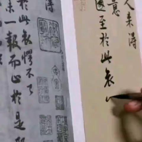 原草堂书法成人班第一百一十五期书法作业集