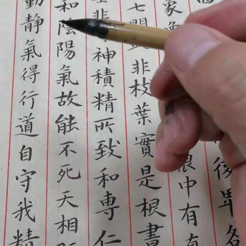 原草堂书法成人班第一百零一期书法作业集