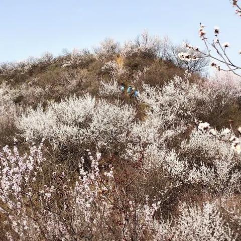 禅房-神泉峡徒步（2023.04.01）（副本）