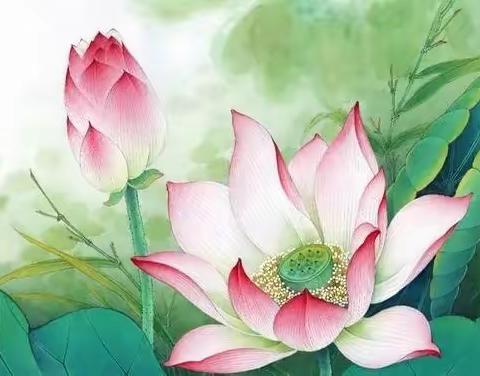 《小荷书院》佳作赏析 （第六十五期）——滦州市第三实验小学五一班专刊