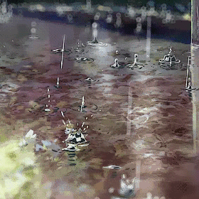 缘分的秘密