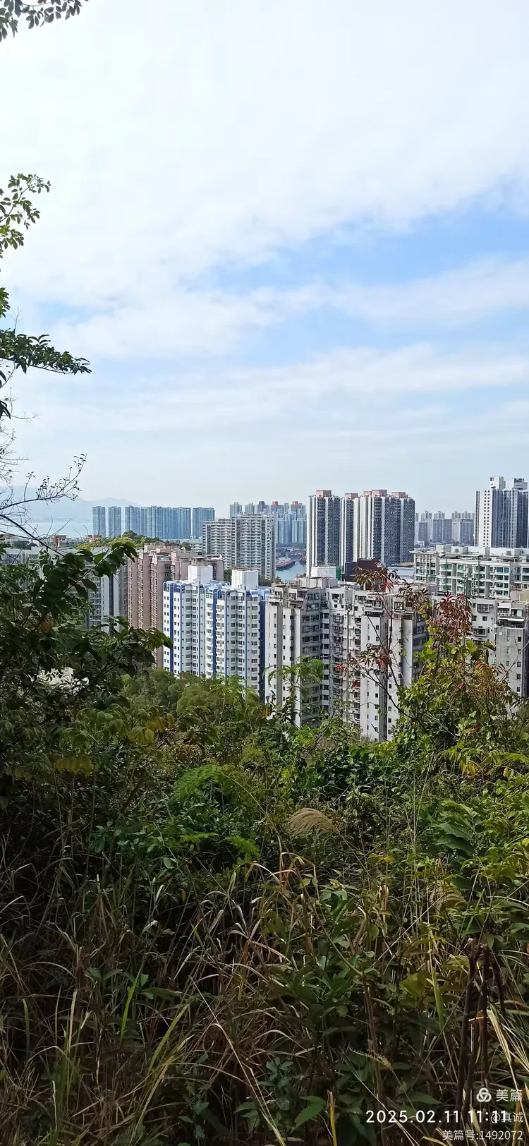 屯门天气预报