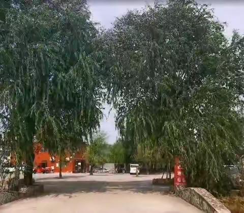 驻马店周边游，今天发现个不错的地方，菜味不错，停车方便！