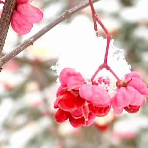 东风随春归，发我花上枝--“国培计划”第二天