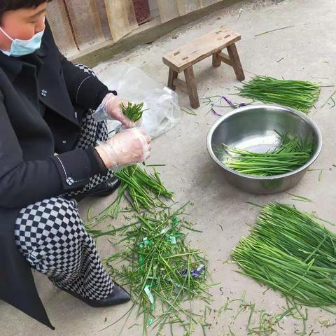 不同往日的周日