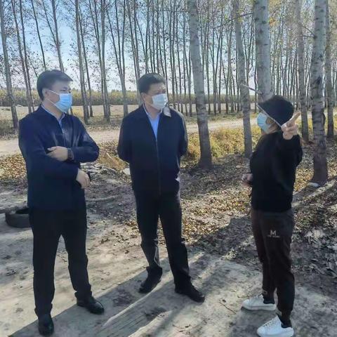市委常委、纪委书记、监委主任人选李严龙同志到伦河镇检查指导工作