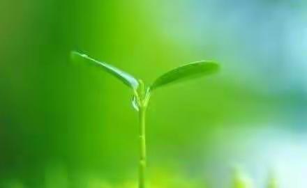 规范管理民办幼儿园专题会议――滦河办