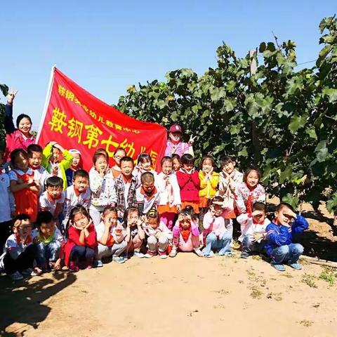 “鞍钢七幼大一班”采摘葡萄🍇记