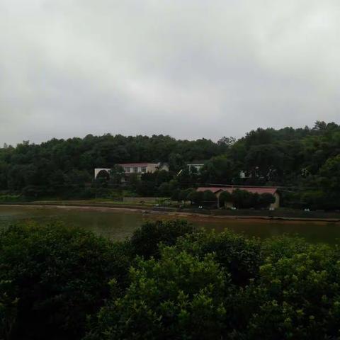 中江阿姨游农庄