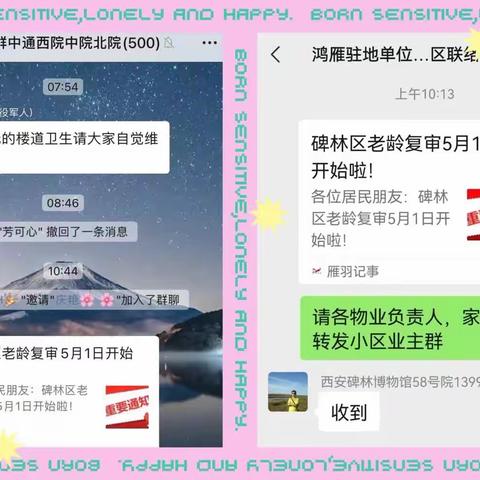 【五心鸿雁 五星为您】夕阳晚景里的别样“盛宴”