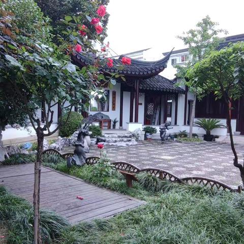 啄木鸟的美篇