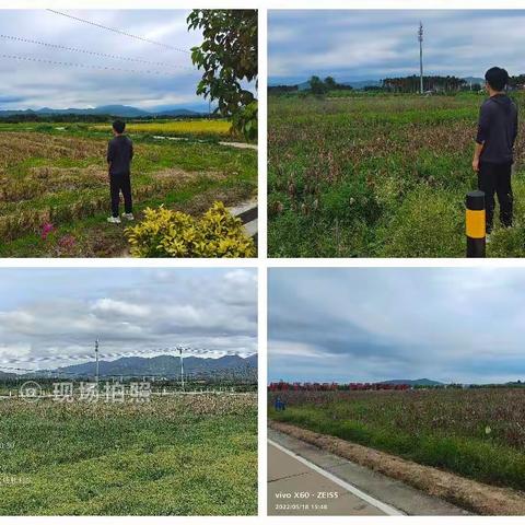 区农业农村局5月18日秸秆禁烧巡查日志