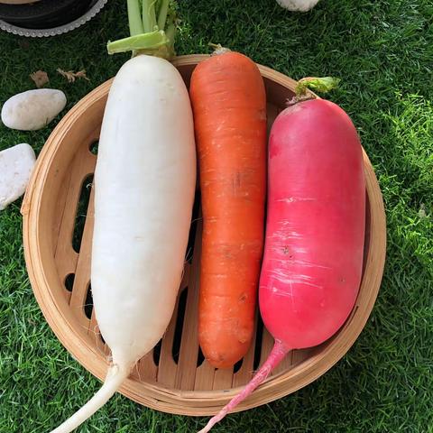 课程探究之《萝卜？萝卜！》