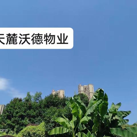 天麓尚层物业服务中心2022年6月份工作简报