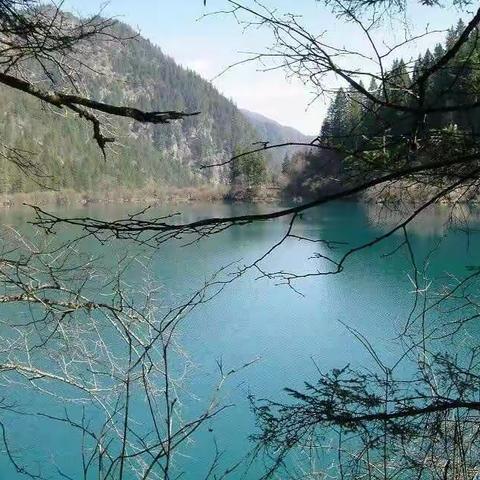 天公巧匠，美景如画！我们一天天的老去，虽把持不了容颜，但我们的心也该如这景一般朝气蓬发！