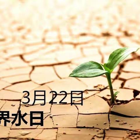 【西安市新城区】骏景幼儿园中三班“节约用水，保护水源”主题活动