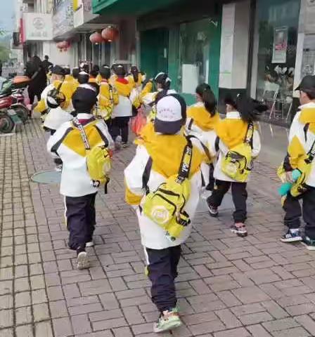 风光无限好，秋游正当时——实验小学206班秋游