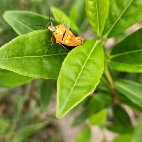我们每天的生活和学习日常篇（一）