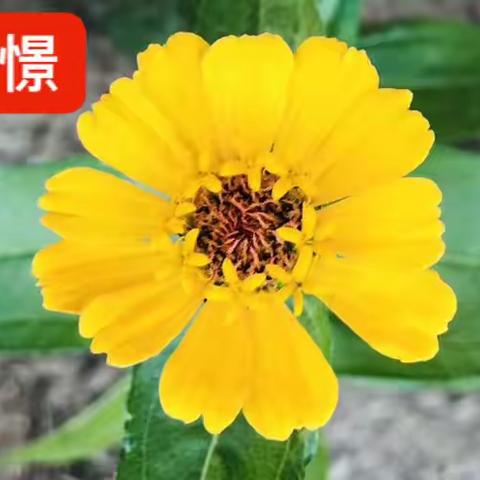 又是一年清明时