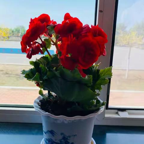 珍惜当下，采撷未来