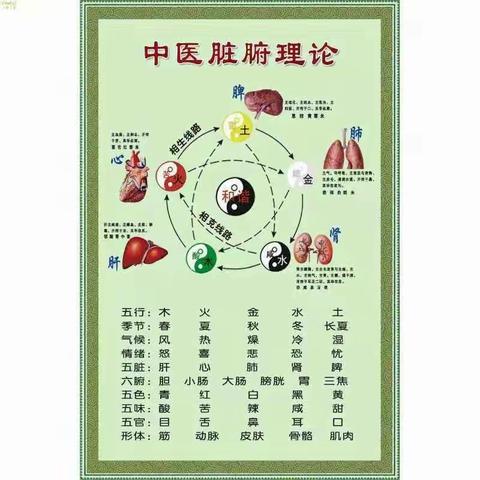 腕踝针~~带你领略浩瀚的国医精髓