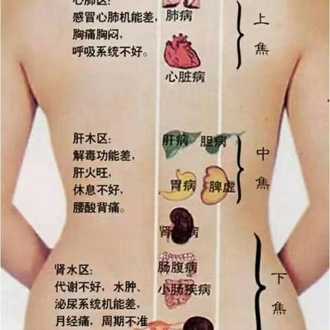 千年瑰宝   魅力中医