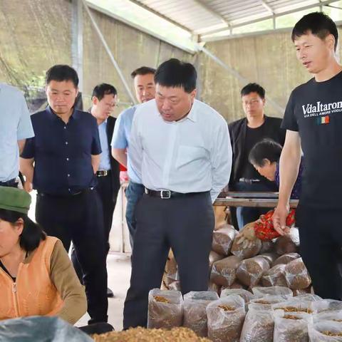 区委主要领导赴蓝田县灞源镇秦谷村开展帮扶活动