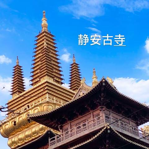 静安古寺—浊世中一朶盛开的莲花