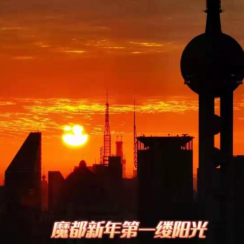 太阳沪上打卡(二)