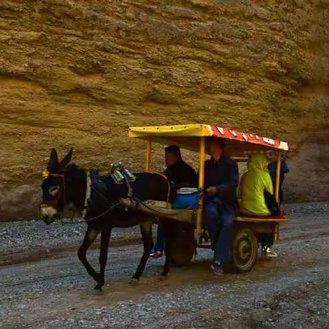 黄河石林与羊皮筏