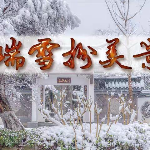 瑞雪扮美景