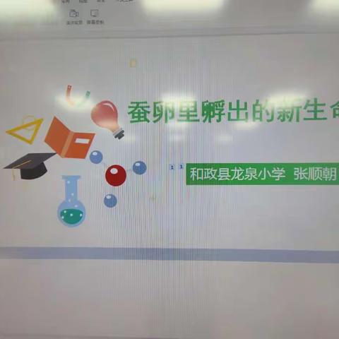 观察、发现、探索、求知——和政县龙泉小学科学公开课纪实