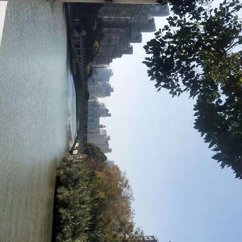 今日宝成湾