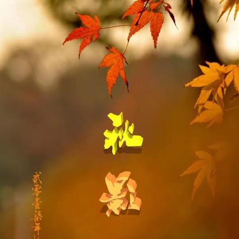秋影