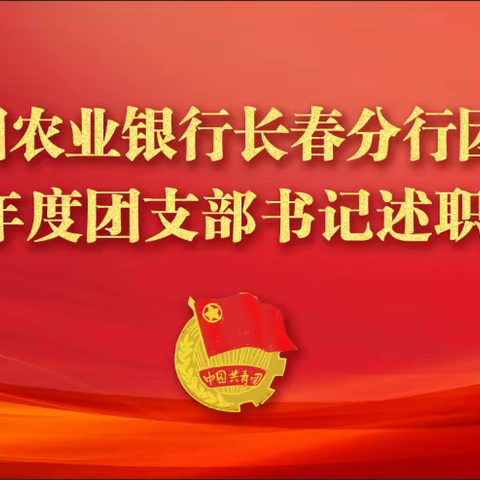 中国农业银行长春分行团委举行2022年团组织述职评议会